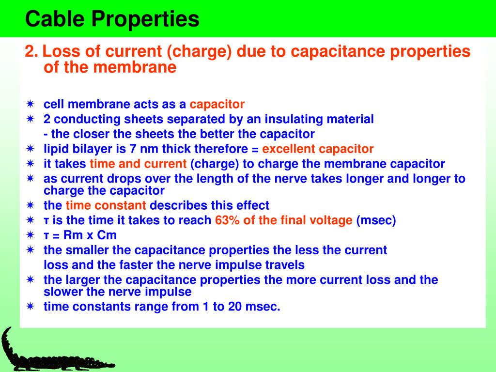 PPT Cable Properties PowerPoint Presentation, free download ID444312