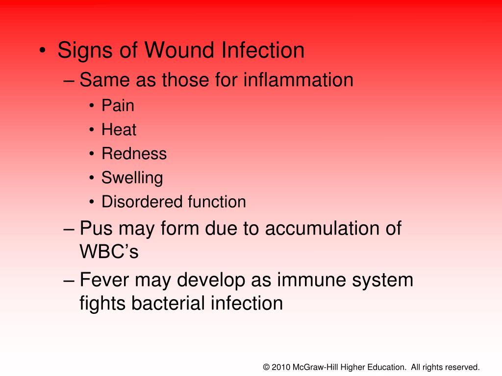 PPT Chapter 8 Bloodborne Pathogens, Universal Precautions and Wound
