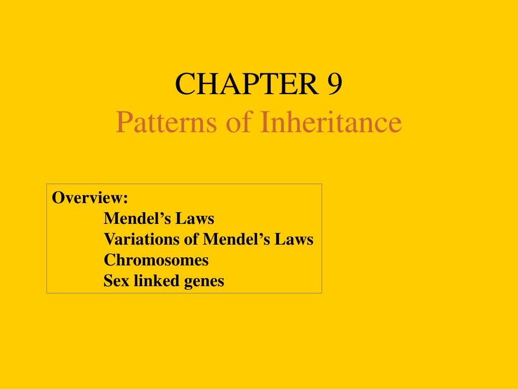 PPT CHAPTER 9 Patterns of Inheritance PowerPoint Presentation, free