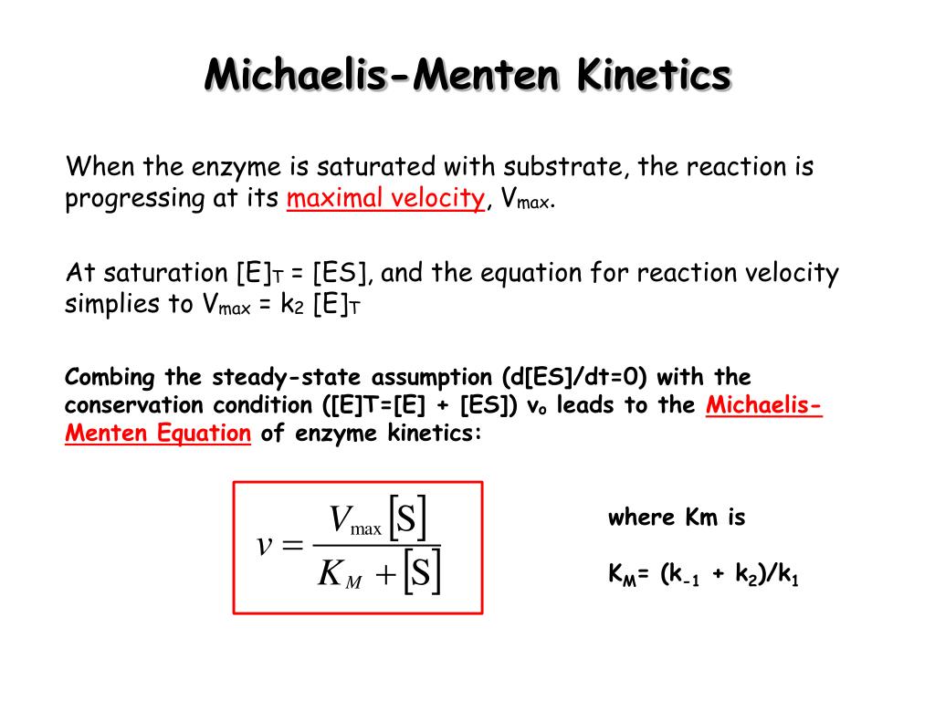 PPT Enzymes Basic Concepts and PowerPoint Presentation ID