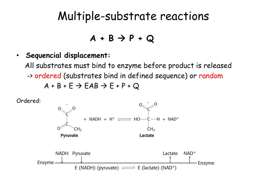 PPT Enzymes Basic Concepts and PowerPoint Presentation