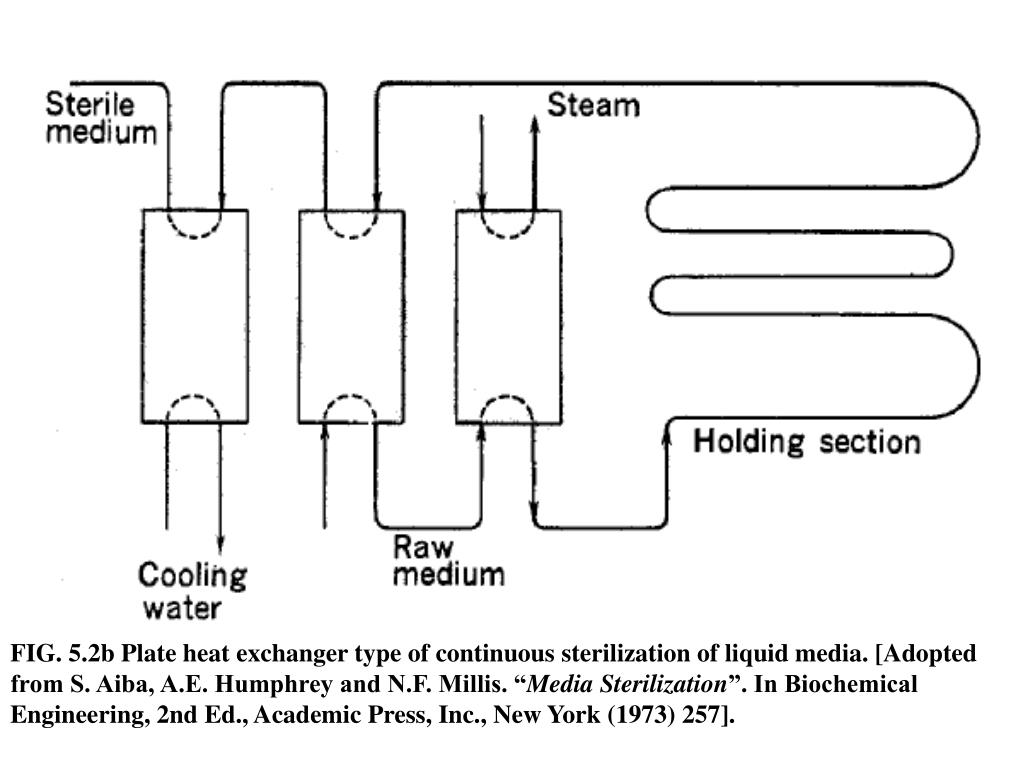 PPT 5. STERILIZATION OF LIQUID MEDIA PowerPoint Presentation ID452233