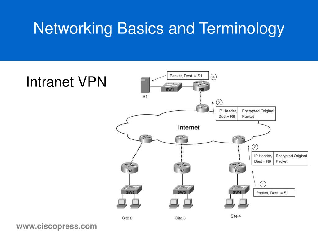 PPT Networking Basics CCNA 1 Chapter 2 PowerPoint Presentation, free