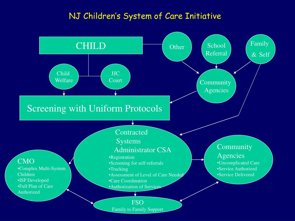PPT BUILDING SYSTEMS OF CARE CRITICAL STRUCTURES AND PROCESSES