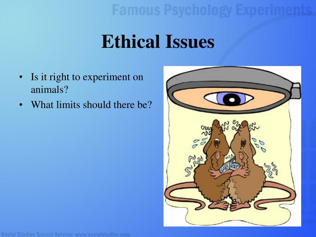 PPT Famous Psychology Experiments PowerPoint Presentation, free