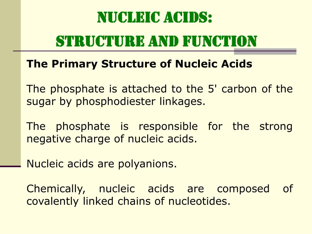 PPT NUCLEIC ACIDS STRUCTURE and FUNCTION PowerPoint Presentation