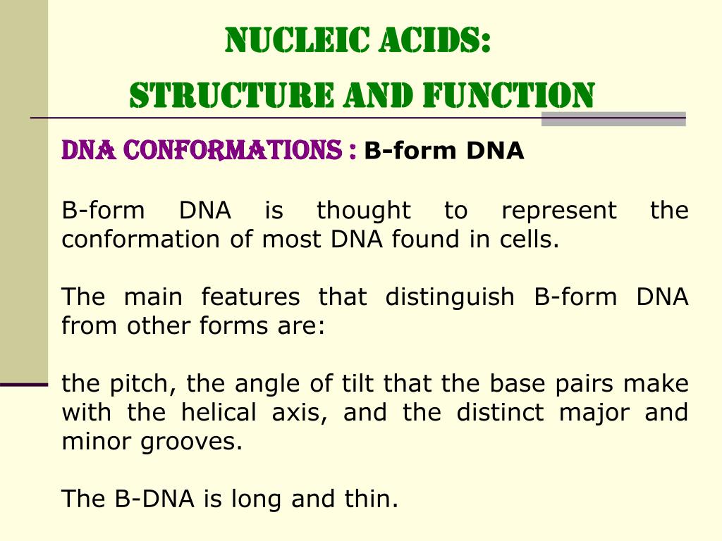 PPT NUCLEIC ACIDS STRUCTURE and FUNCTION PowerPoint Presentation, free download ID460439