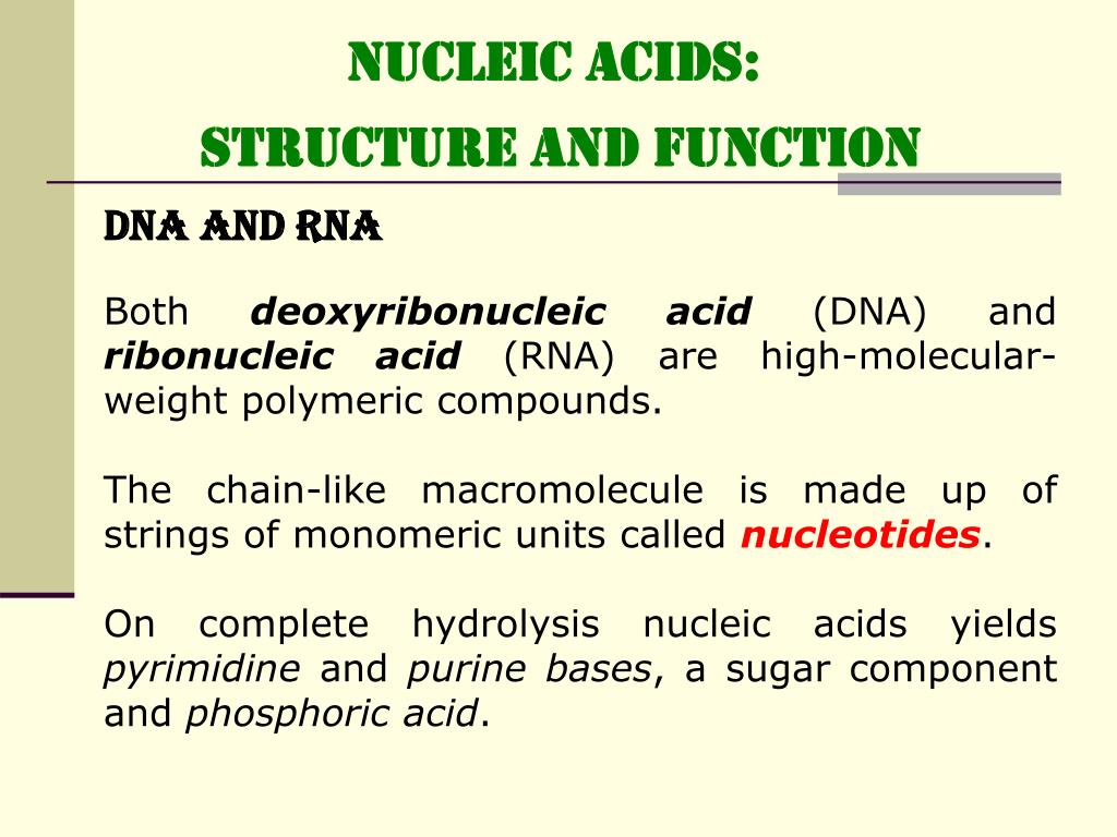 [DIAGRAM] Amino Acids Rna Diagram