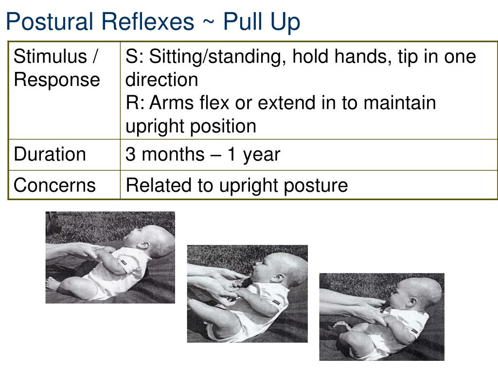 PPT Infant Reflexes and Stereotypies PowerPoint Presentation, free