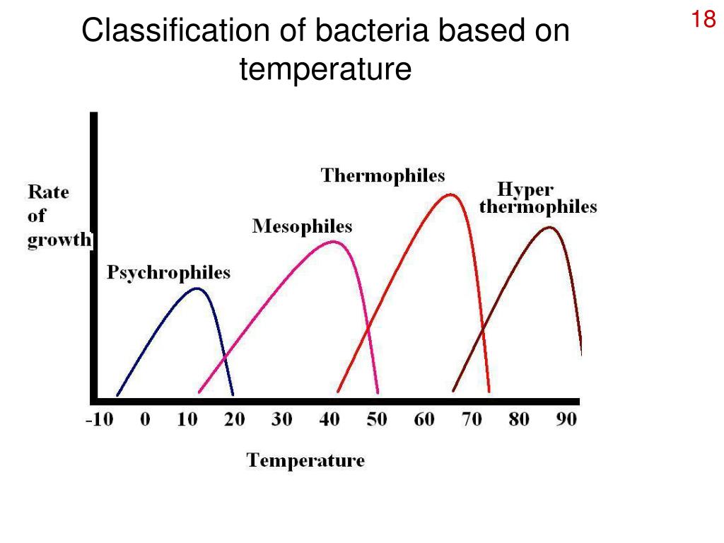 PPT Bacterial Growth and Nutrition PowerPoint Presentation, free