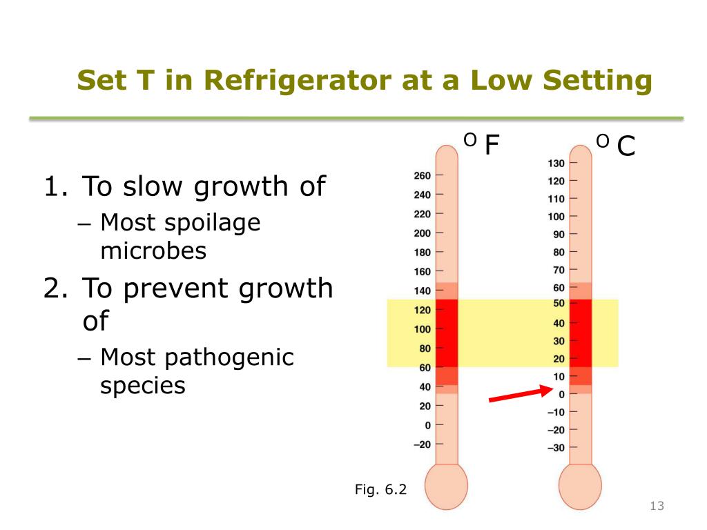 PPT Microbial Growth PowerPoint Presentation, free download ID464403