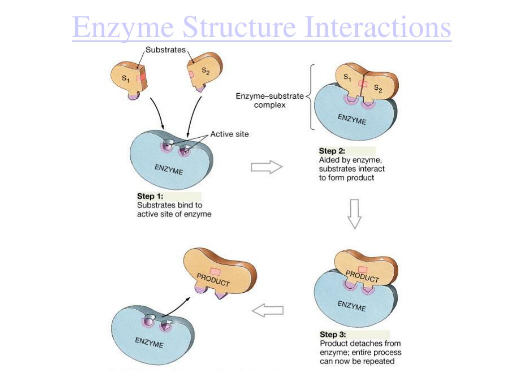 PPT Types of Organic compounds PowerPoint Presentation, free download