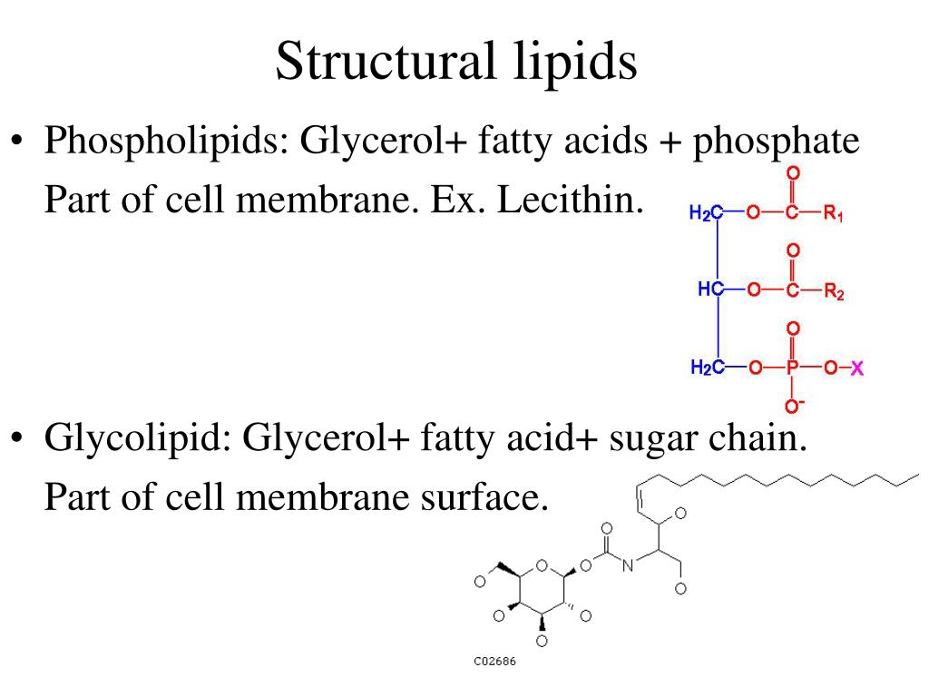 PPT Types of Organic compounds PowerPoint Presentation ID465419