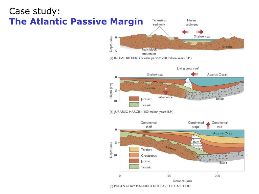 PPT Marine Sedimentation PowerPoint Presentation, free download ID