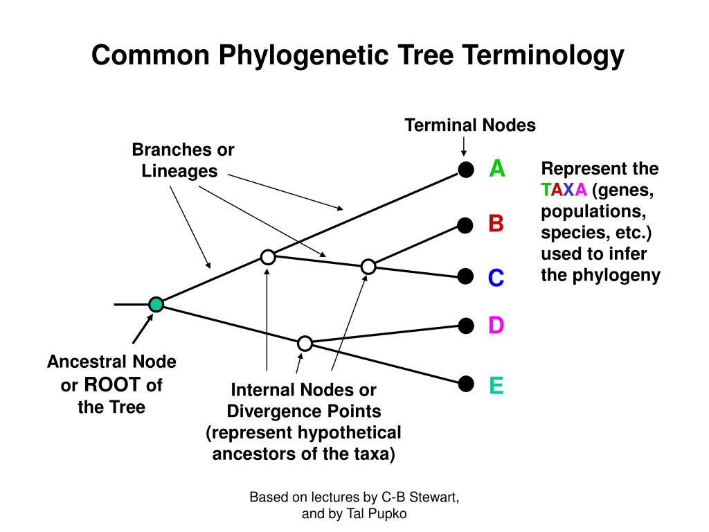 PPT Analysis based on two talks, by PowerPoint Presentation ID465536