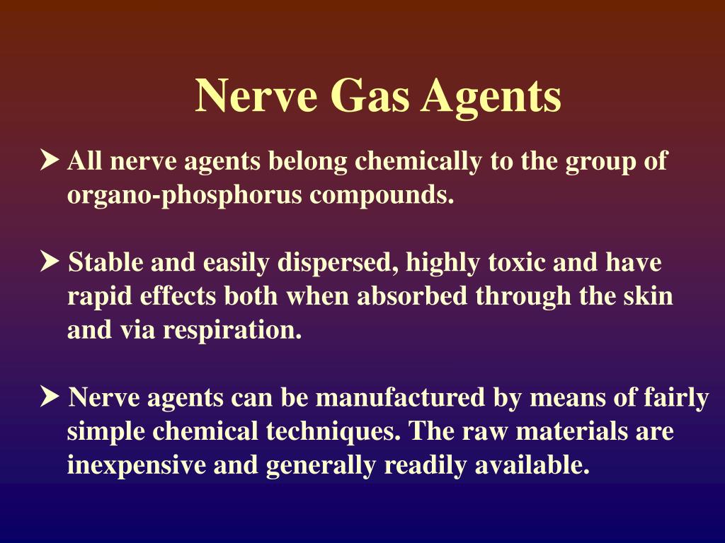 PPT Terror Is Real ! PowerPoint Presentation, free download ID469318