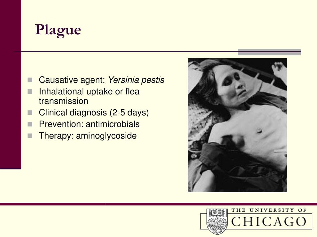 Bioterrorism—and how to prevent it — Global Issues