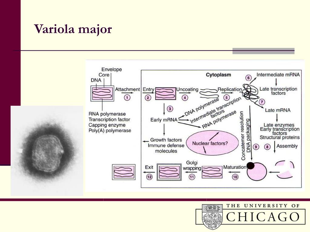 Defence against Bioterrorism • Military Medicine Worldwide