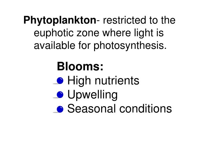 PPT Plankton PowerPoint Presentation ID473549