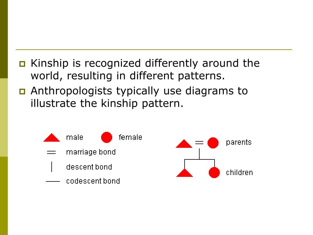PPT Kinship Patterns PowerPoint Presentation, free download ID473865