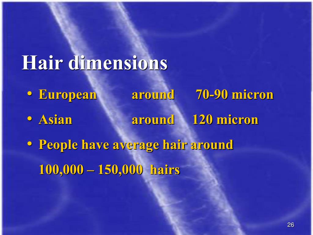 PPT HAIR CARE PowerPoint Presentation, free download ID474561