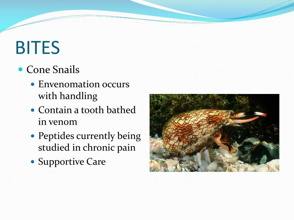 PPT Marine Toxicology PowerPoint Presentation, free download ID474950