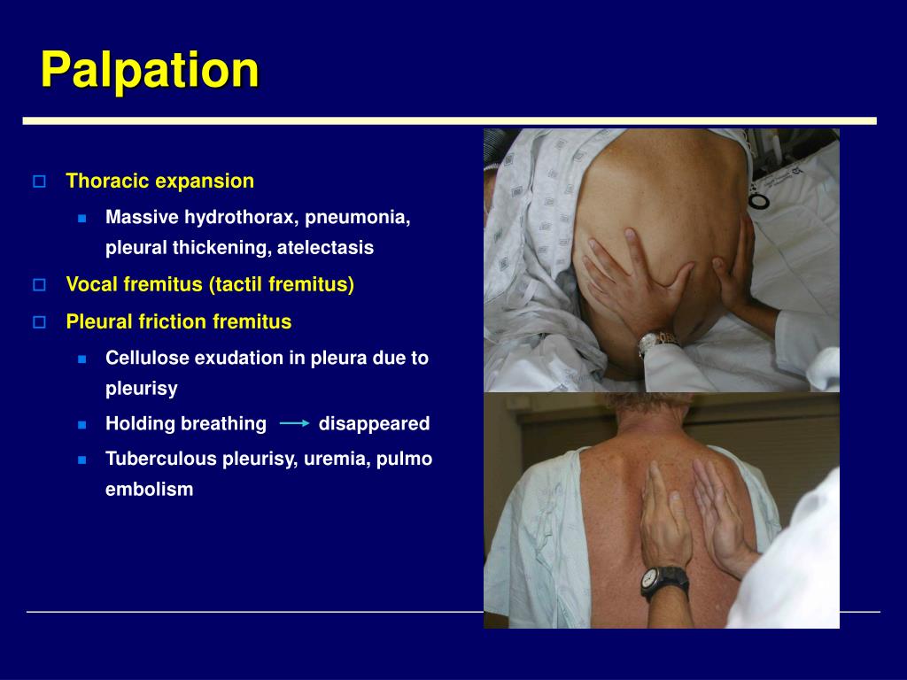 PPT Physical Examination in Respiratory System PowerPoint
