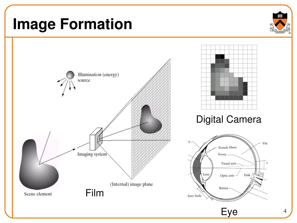 PPT Digital Cameras PowerPoint Presentation, free download ID47606