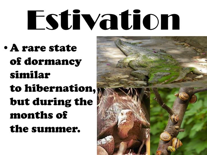 PPT 7th Grade Unit 3 Organisms Internal Responses Lesson 2 Reacting