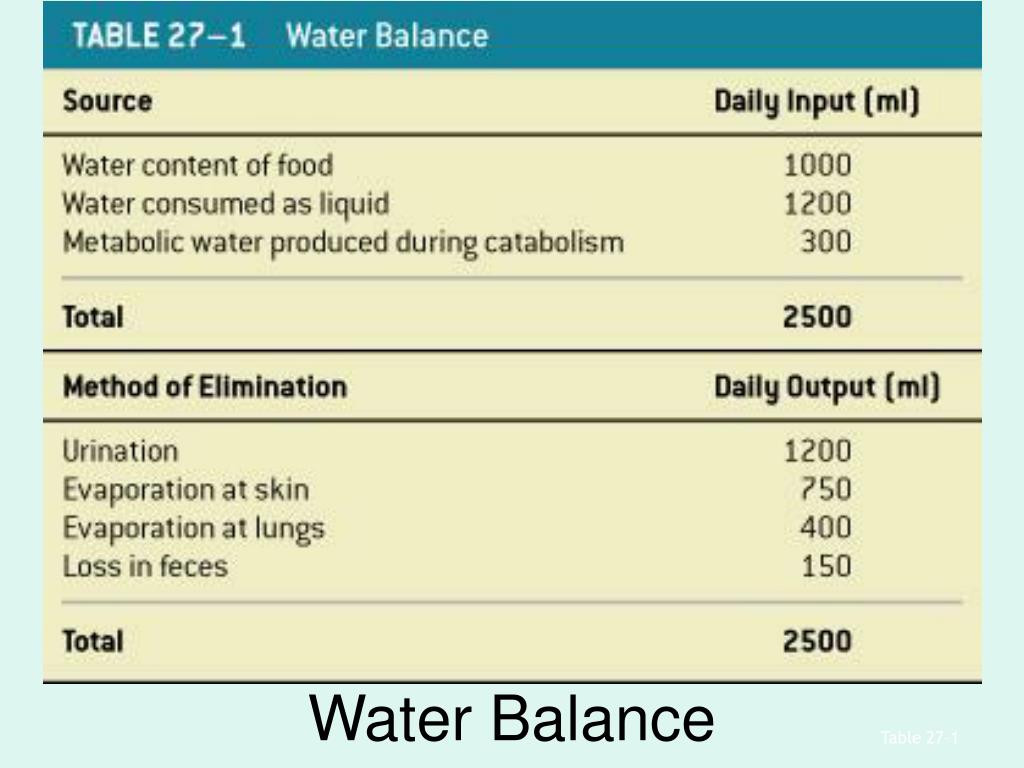 PPT Fluid, Electrolyte and AcidBase Balance PowerPoint Presentation