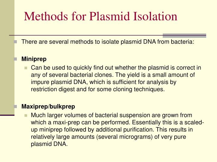 PPT Plasmid DNA Isolation PowerPoint Presentation ID477427