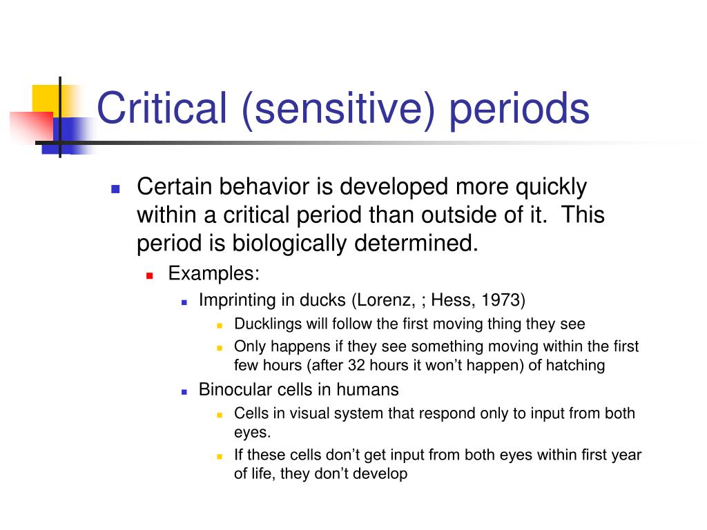 PPT PSY 369 Psycholinguistics PowerPoint Presentation, free download