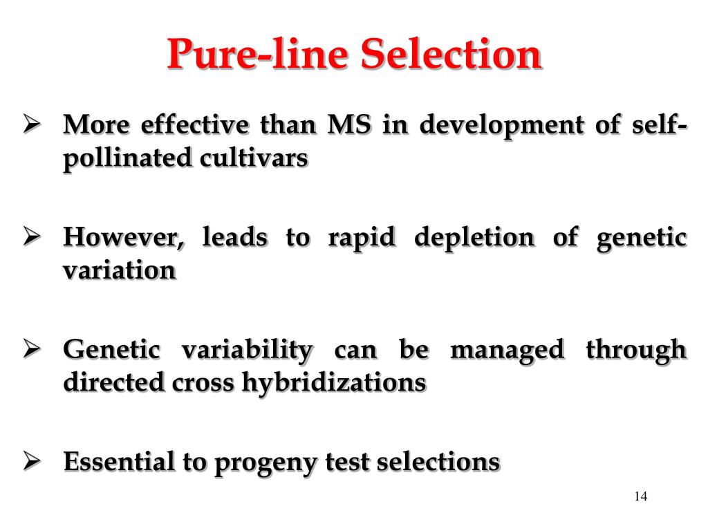 PPT Breeding Self Pollinated Crops PowerPoint Presentation, free