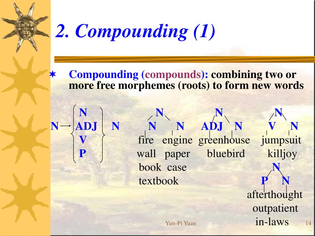 PPT Morphology PowerPoint Presentation, free download ID480933