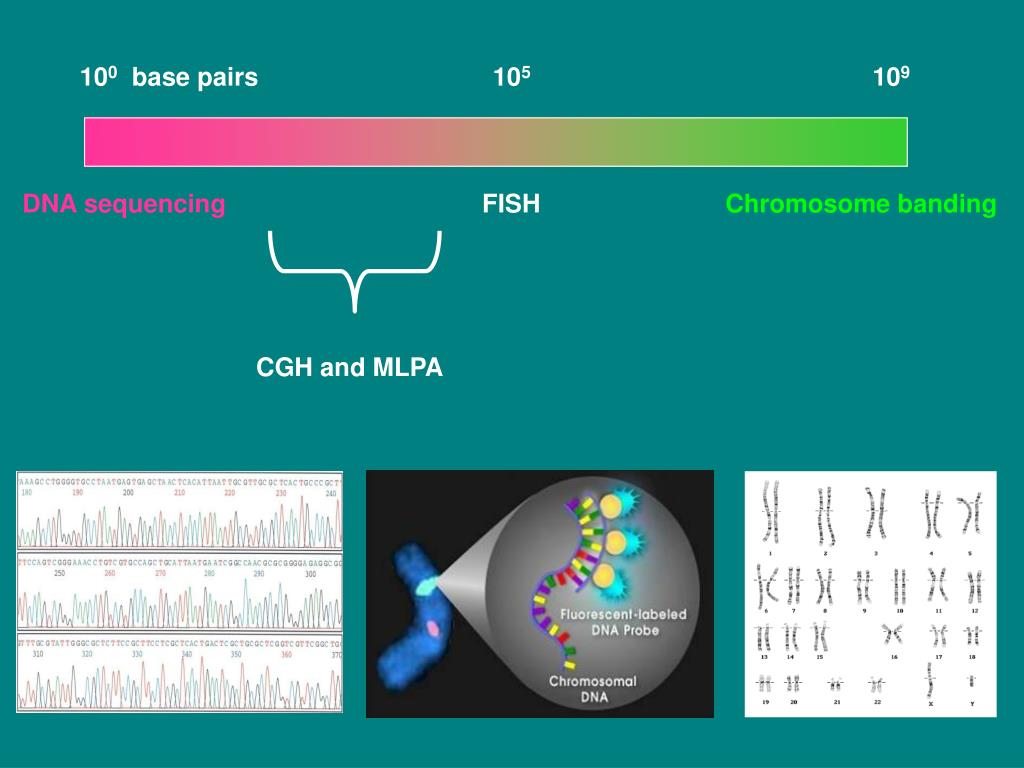 PPT DNA testing for Down syndrome PowerPoint Presentation, free