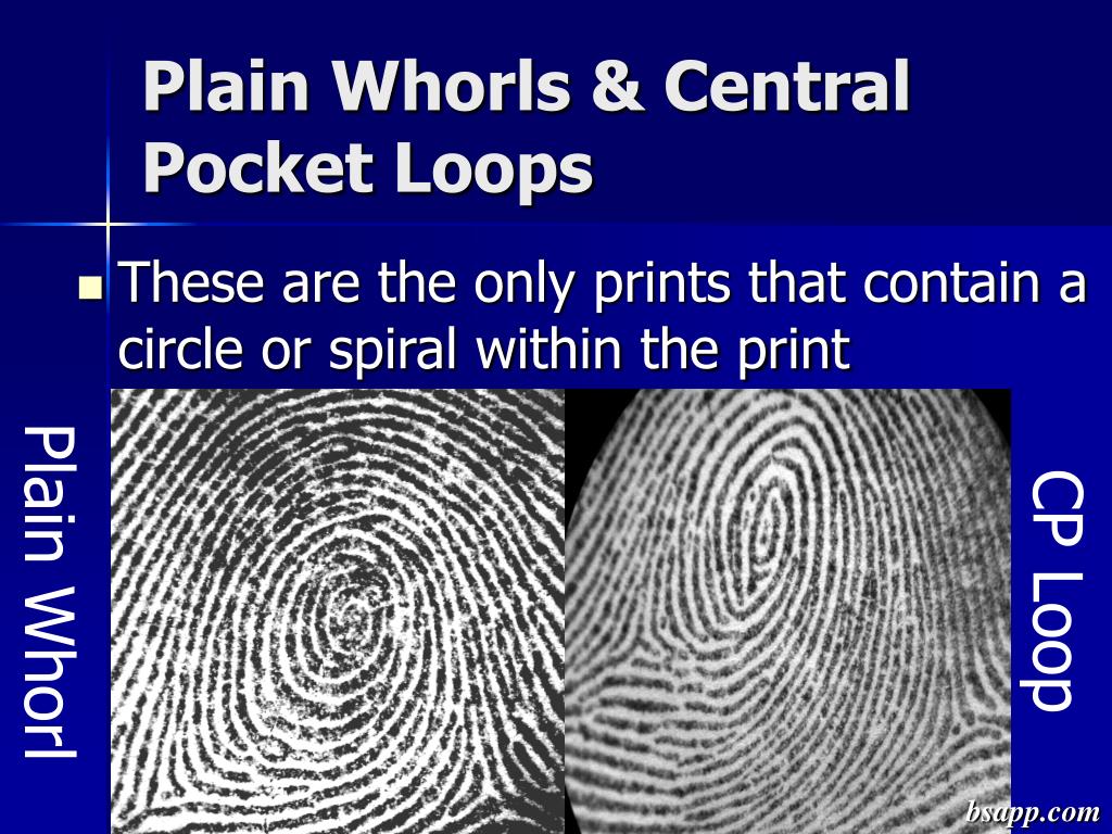 PPT Reading Fingerprints PowerPoint Presentation, free download ID
