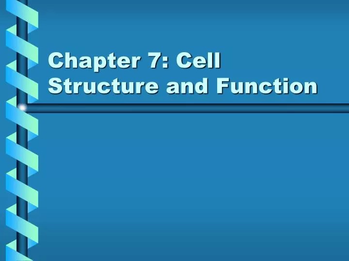 PPT Chapter 7 Cell Structure and Function PowerPoint Presentation