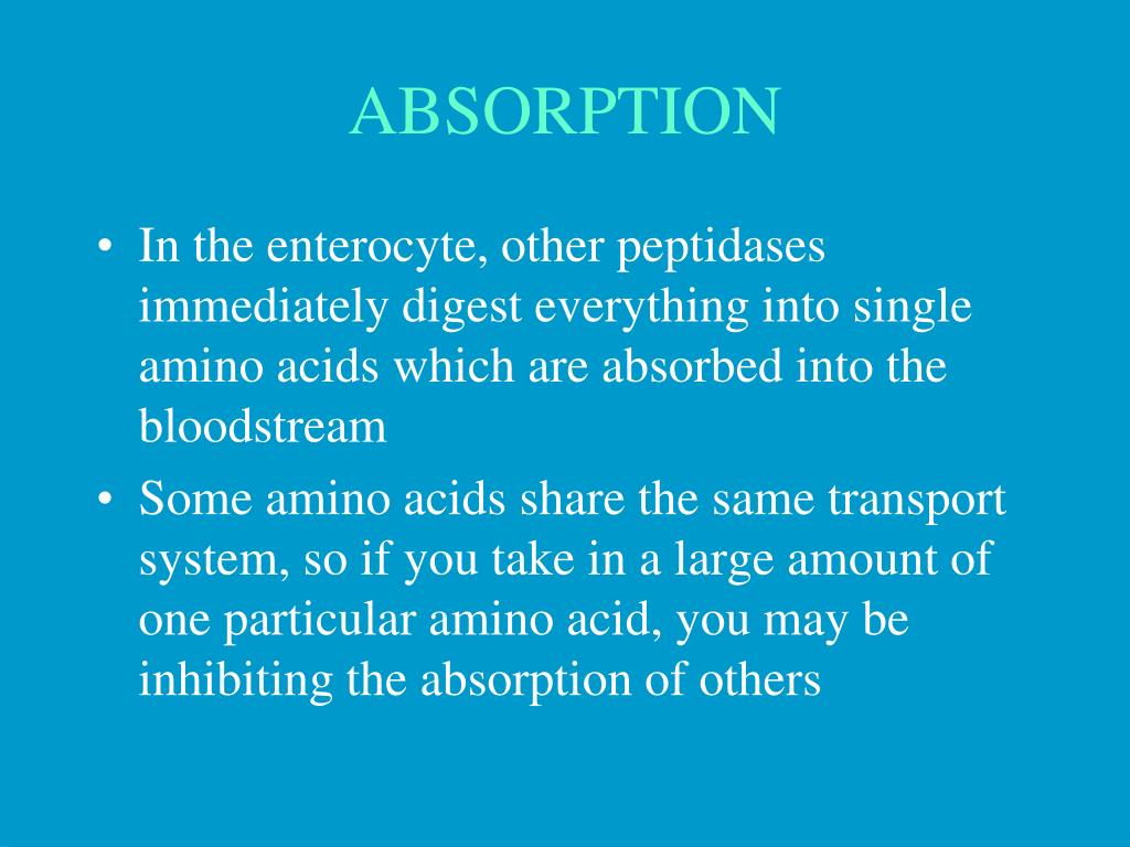 PPT WHAT IS PROTEIN? PowerPoint Presentation, free download ID484413