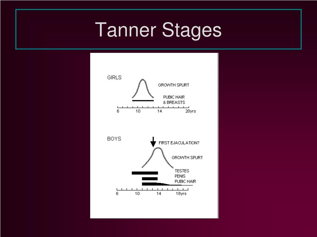 PPT Adolescence PowerPoint Presentation, free download ID485124