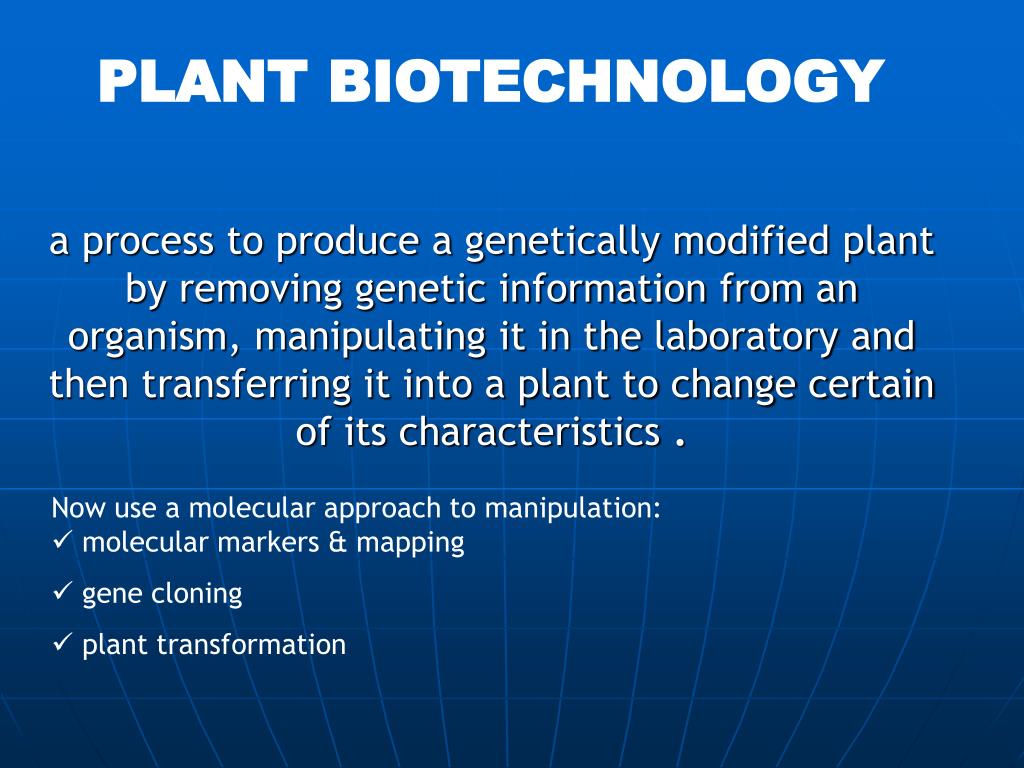 PPT PLANT BIOTECHNOLOGY PowerPoint Presentation, free download ID