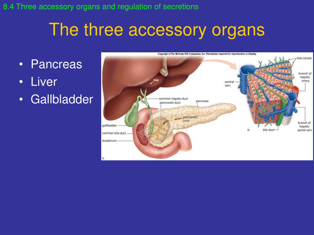 PPT Chapter 8 PowerPoint Presentation, free download ID492780