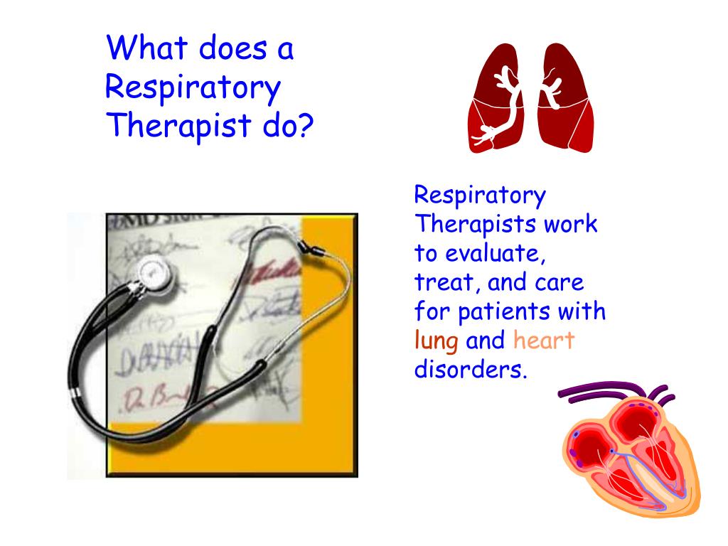 PPT What does a Respiratory Therapist do? PowerPoint Presentation
