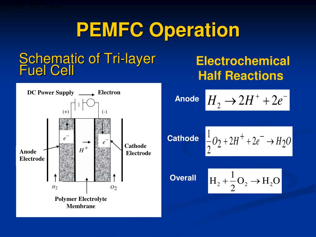 PPT UEE604 PEM Fuel Cell PowerPoint Presentation, free download ID