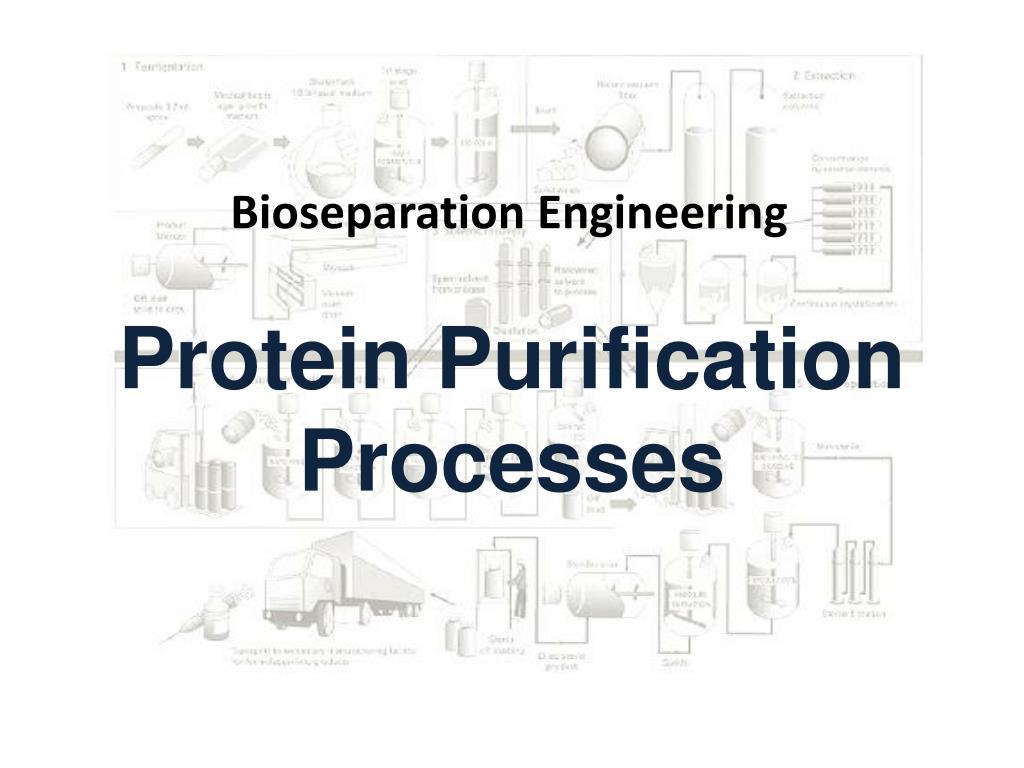PPT Protein Purification Processes PowerPoint Presentation, free