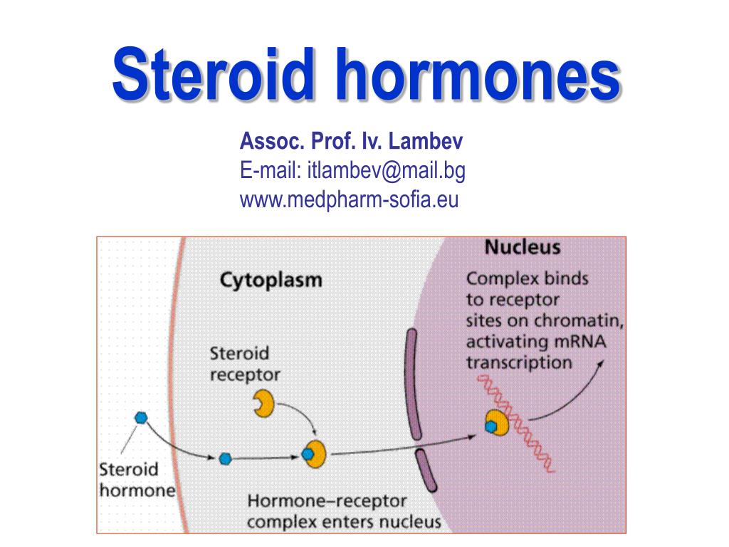 PPT Steroid hormones PowerPoint Presentation, free download ID500033