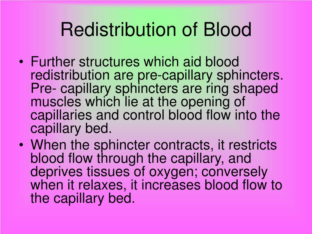 PPT Redistribution of Blood During Exercise PowerPoint Presentation