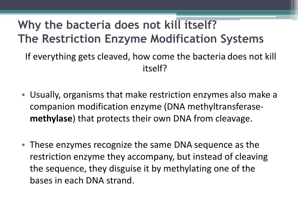 PPT Restriction Enzyme Digestion PowerPoint Presentation, free
