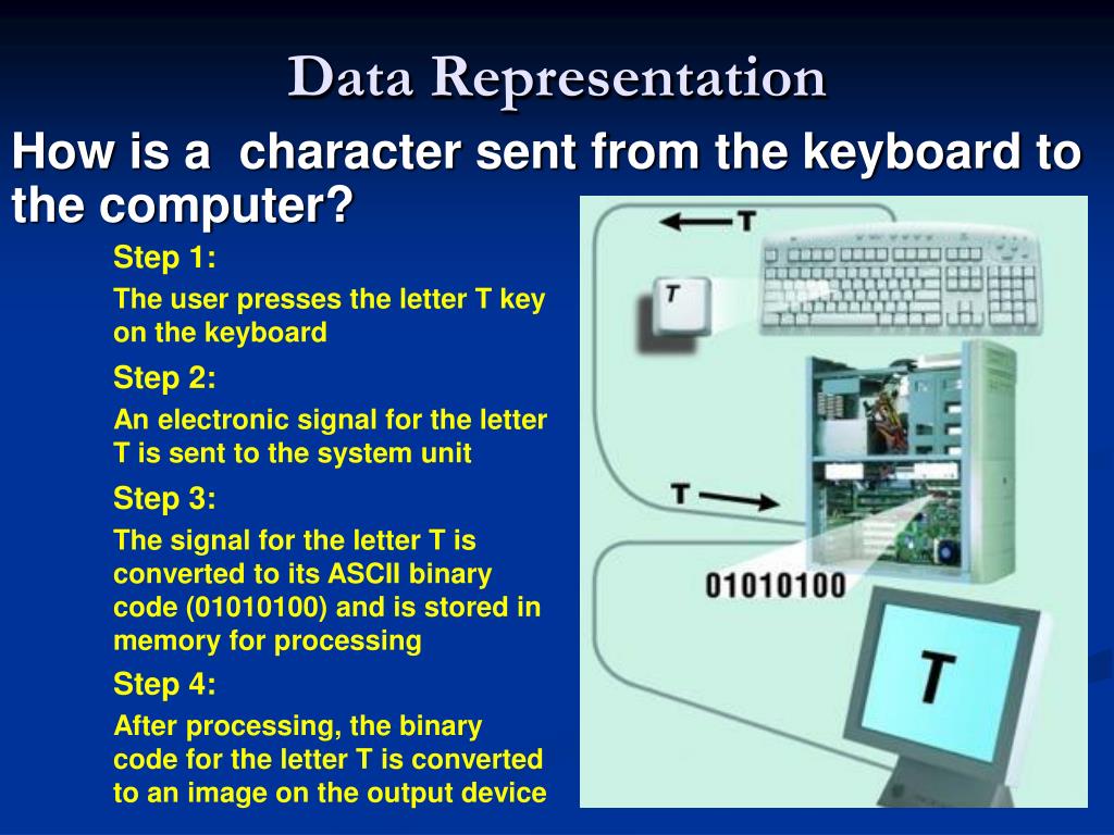 PPT Data Representation (in computer system) PowerPoint Presentation
