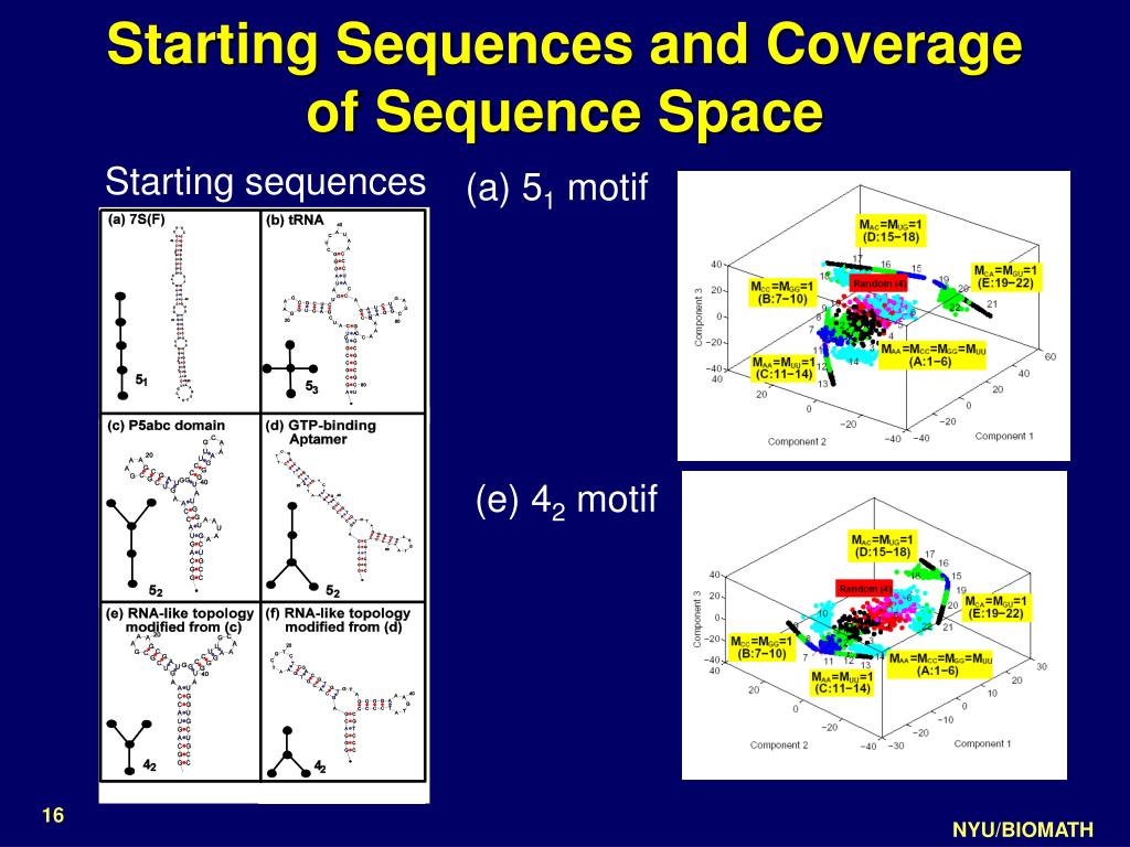 PPT R AG P OOLS RNAAsGraphPools A  Server to Assist the