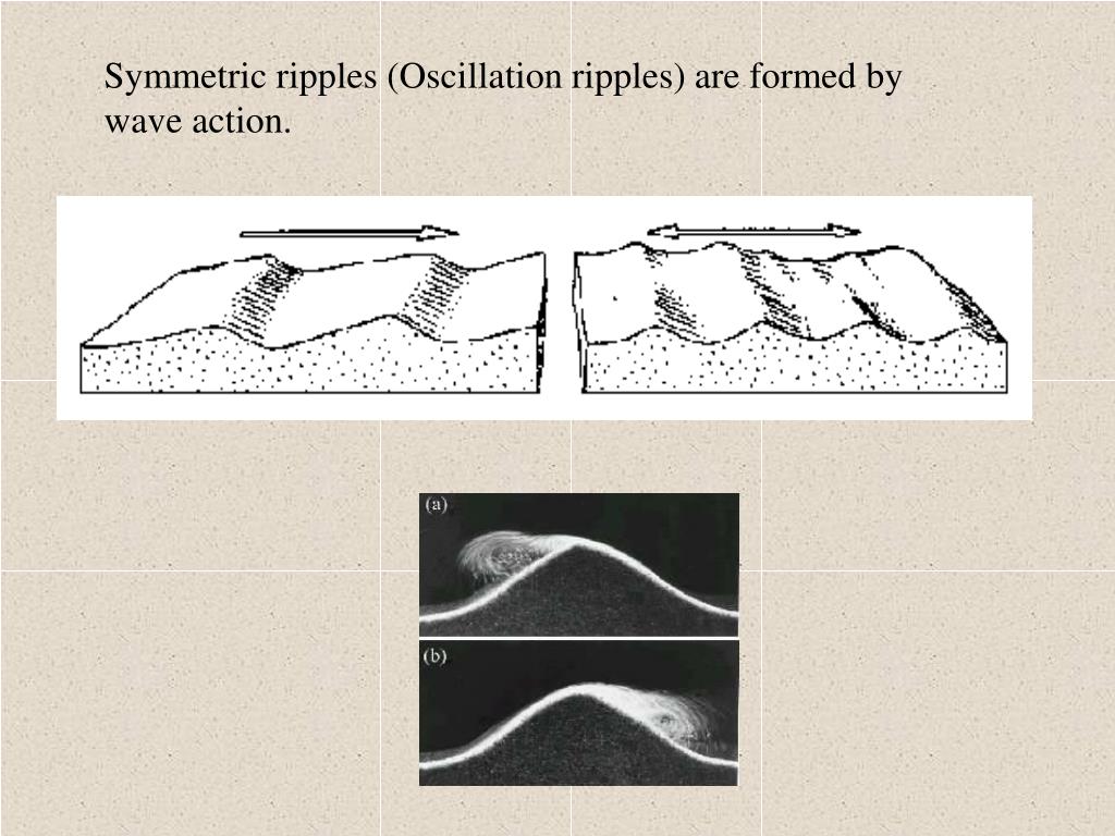 PPT Chapter 4 Sedimentary Structures PowerPoint Presentation ID506595